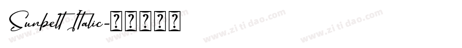Sunbelt Italic字体转换